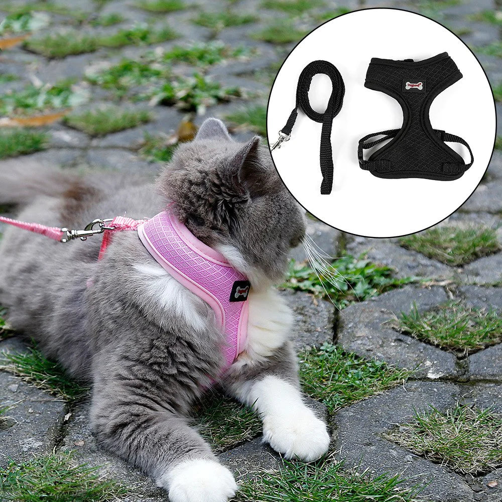 SecureFit Cat Harness