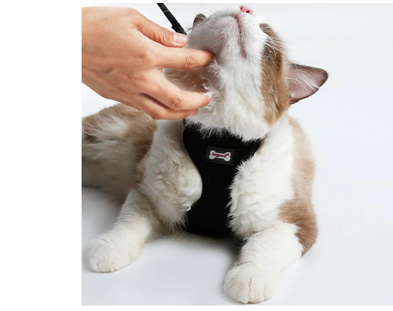 SecureFit Cat Harness