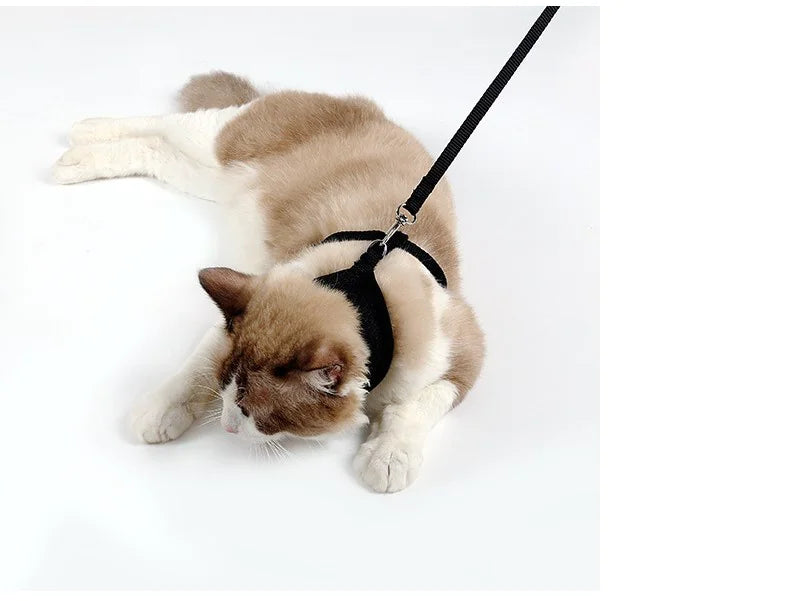 SecureFit Cat Harness