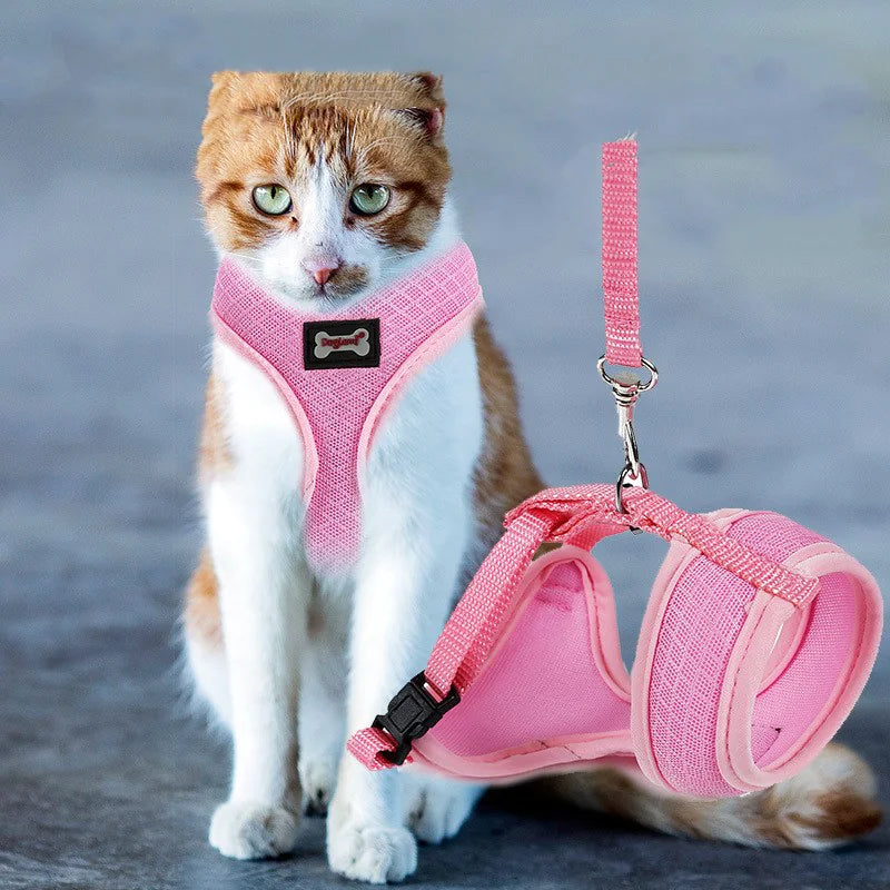 SecureFit Cat Harness
